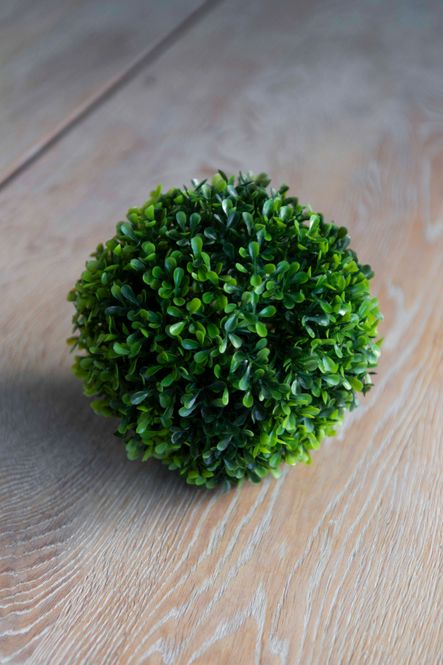 Hovedbilde Buksbom boll 18cm