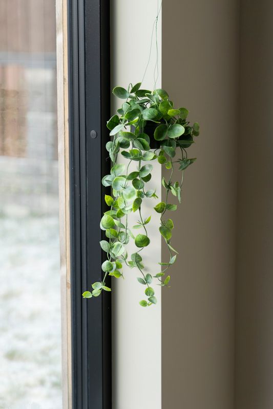 Hängväxt 56cm Stora Blad
