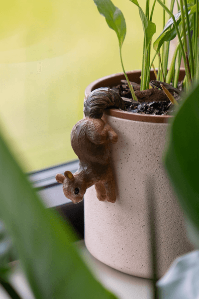 Huvudbild Krukhängare 9cm - Ekorre