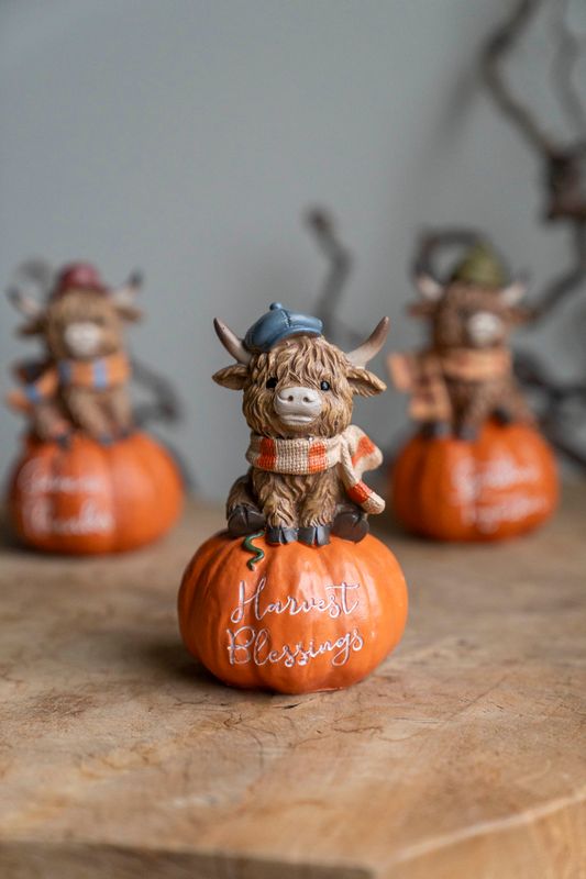 Dekorko m/pumpa - Harvest Blessings